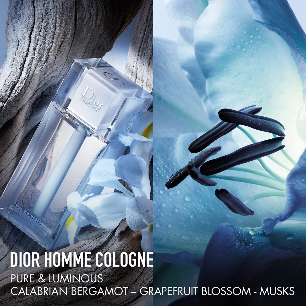 DIOR HOMME 2.5 EAU DE COLOGNE SPRAY